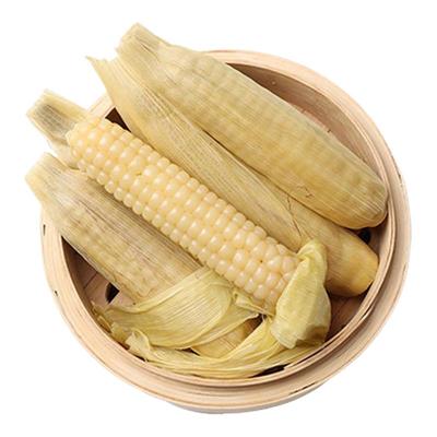 原产地直发西双版纳宝宝拇指玉米