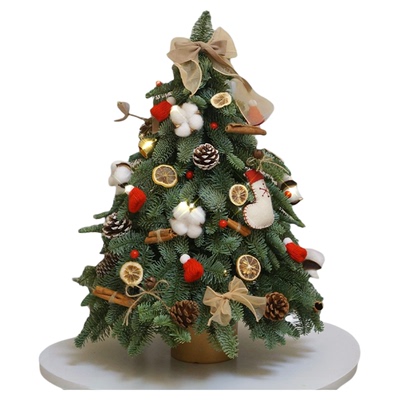 圣诞树小型家用摆件圣诞节装饰