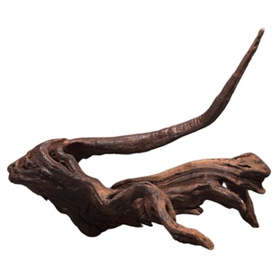 二马41-50cm沉木 鱼缸造景沉木树桩天然紫柚木鬃狮造景剃刀龟爬台