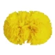 Югуан-желтый-4 дюйма
