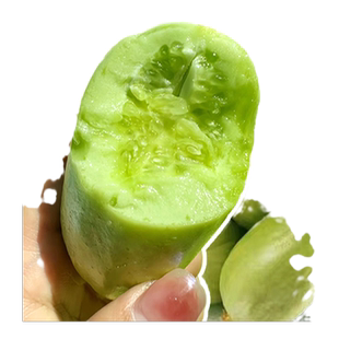 玉女水果黄瓜种籽金童黄瓜农家种孑四季青瓜蔬菜种子秧苗大全阳台