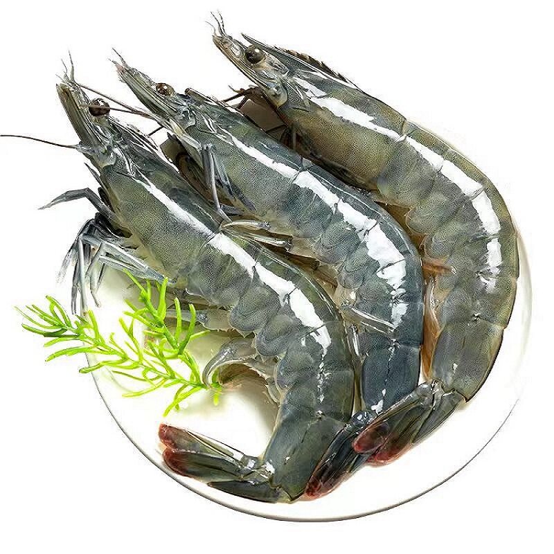 寰球邮鲜青岛海捕特大速冻大虾