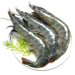 大虾鲜活超大青岛海捕大虾鲜活冷冻白虾对虾特大海虾速冻海鲜水产