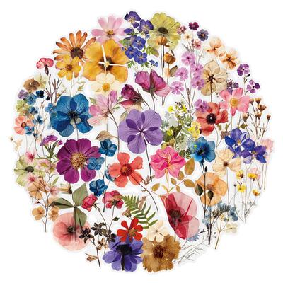 50张透明花卉植物贴纸ins风清新