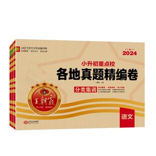 小升初真题卷2026新版小升初刷题王朝霞小学升初中重点校各地真题精编试卷六年级语文数学英语专项分类训练小升初刷题卷