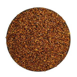 散夏枯草种籽子四季种植装夏枯草种子中药材白毛另有野生黄芩苗孑