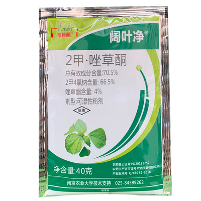 阔叶净水花生小飞蓬阔叶杂草克星