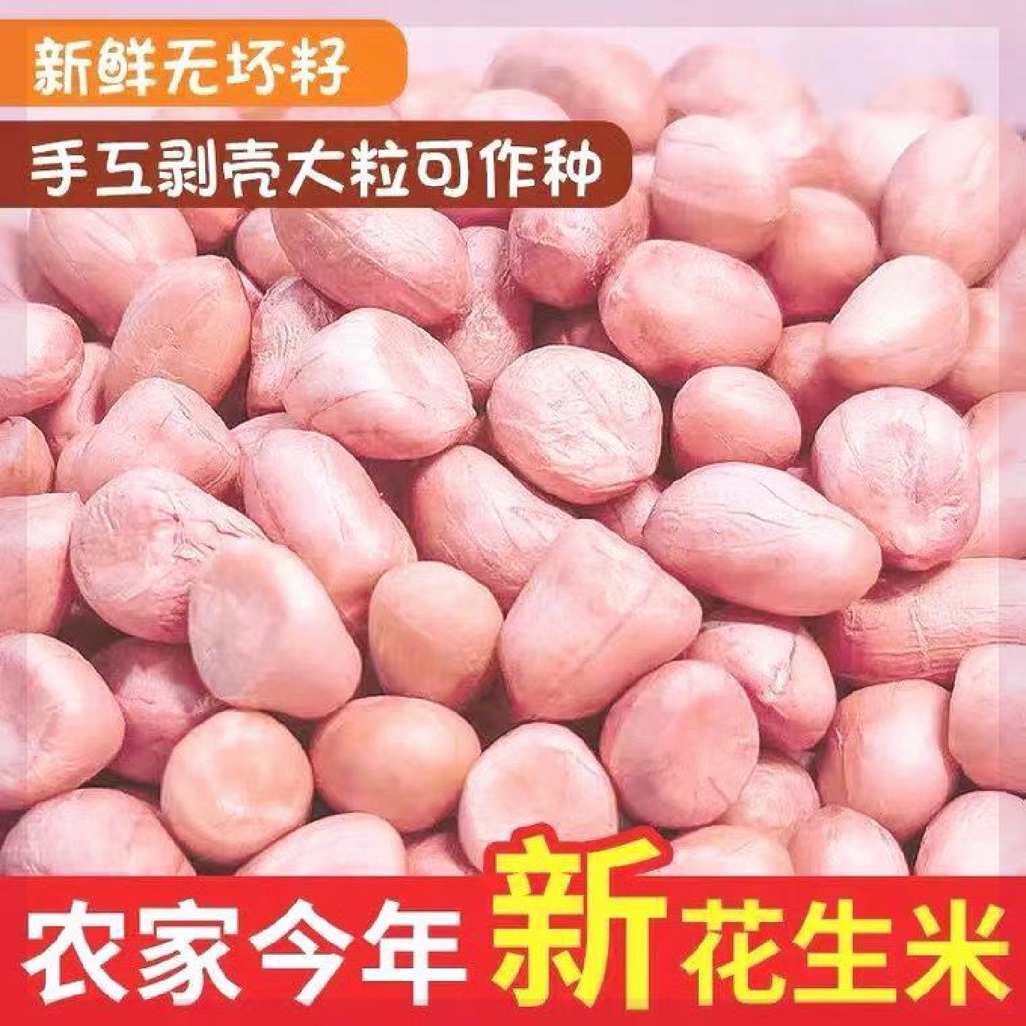 新疆包邮西藏现剥新花生米生新货特级粉皮新鲜大粒花生米不带壳