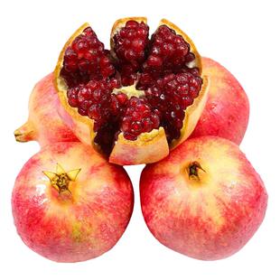 石榴树苗特大突尼斯软籽新品种南北方种植蒙阳红盆栽地栽当年结果