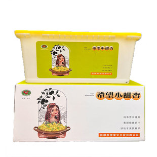 希望新疆轮台小白杏3.4斤整箱新鲜当季礼盒小马哥优选