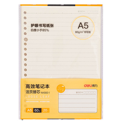得力A5/B5/A4通用活页替芯