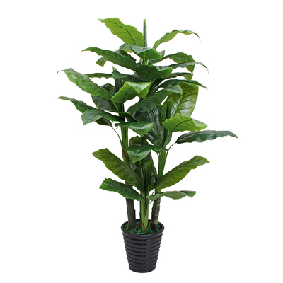 滴水观音花室内装饰仿真植物