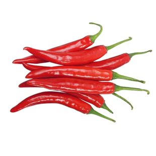 超辣小米辣椒苗秧朝天椒种籽子苗泡椒树苗四季阳台盆栽南方种菜苗