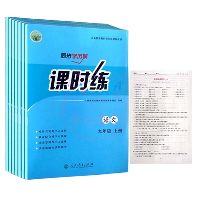 人教版初中课时练同步学历案