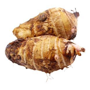 王桥花果芋5斤江西抚州特产东乡本地芋头农家自种小芋艿新鲜现挖