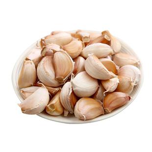 特大大蒜紫皮大蒜瓣手剥2026大蒜头5斤蒜瓣饭店商用蒜苗大蒜种子