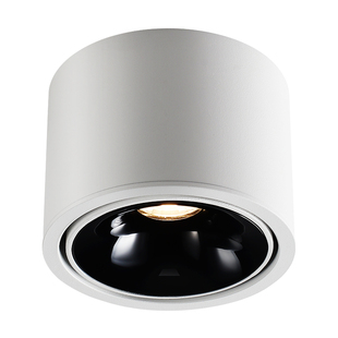 智能超薄明装射灯客厅小山丘防眩可调角度吸顶筒灯已接入米家App