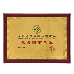 金箔奖牌定制定做木质铜牌木托实木授权牌优秀供应商奖牌荣誉牌匾