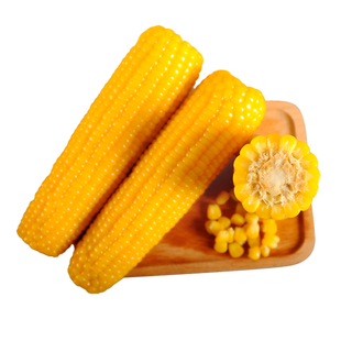 【康宇田源】25年糯黄玉米棒五寨甜糯低脂新鲜真空包装0添加220g