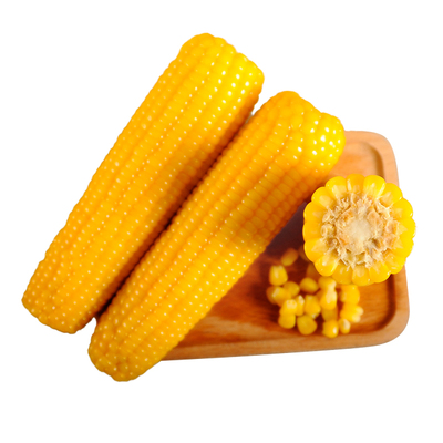 25年新鲜五寨甜糯玉米软糯低脂