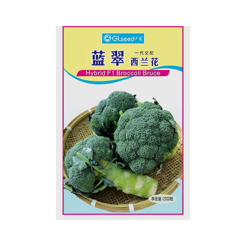 秋季85天花蕾粒小西兰花种子