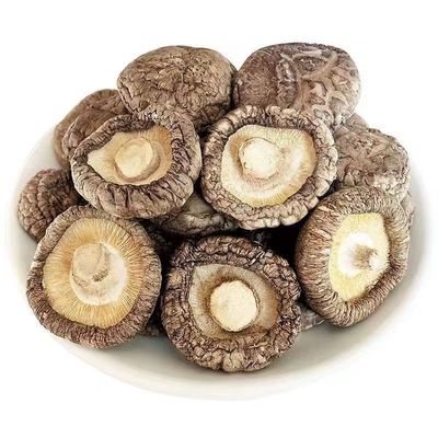 古田香菇干货肉厚无根散装香菇小蘑菇菌菇香茹冬菇新鲜商用批发价