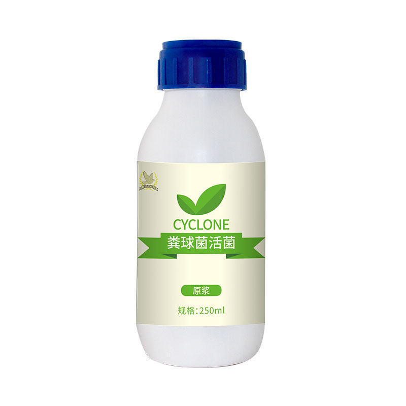 西安凯鸽粪球菌活菌250ml鸽子用