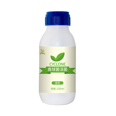 西安凯鸽粪球菌活菌250ml鸽子用