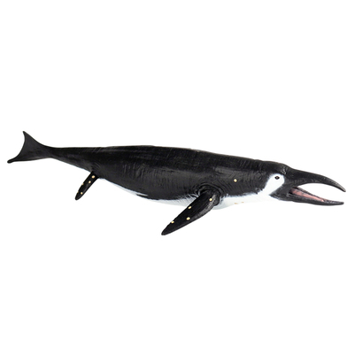 林畅模玩萨斯特鱼龙模型仿真动物