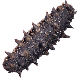 大连海参8年辽参深海底播野生海参干货孕妇小孩术后滋补淡干海参