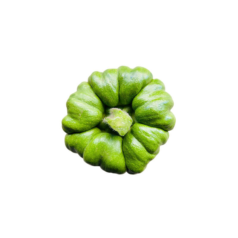 云南农家自种现摘粉糯姜柄瓜