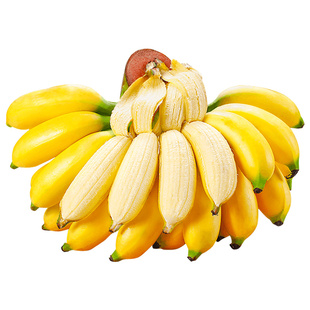新鲜香蕉正宗皇帝蕉帝王蕉当季水果小米蕉芭蕉整箱绿芭蕉心粉包邮