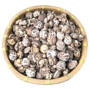 小花菇干货500g香菇精选冬蘑菇湖北珍珠菇非椴木野生香茹特小花菇