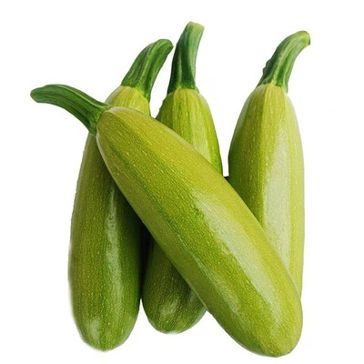 云南当季现摘新鲜西葫芦坏果包赔