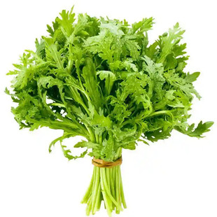 小叶茼蒿种子皇帝菜种籽光杆蔬菜多次采收庭院阳台四季高产包邮