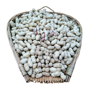 重庆綦江特产东溪花生东溪草坪柴坝花生农家水煮日晒干绵子花生