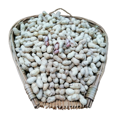 綦江东溪花生东溪草坪柴坝花生