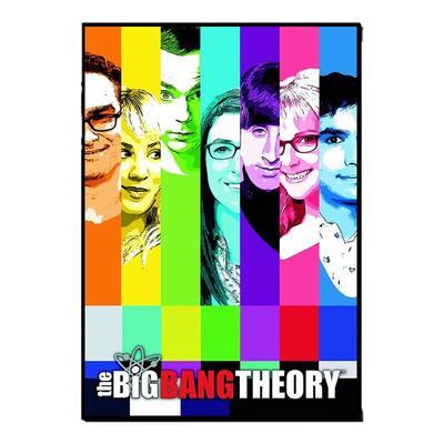 生活大爆炸海报装饰画