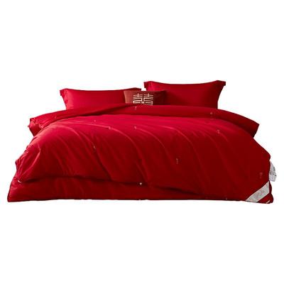 水星家纺被芯抗菌蚕丝二合一被婚庆蚕丝被芯大红全棉四季被子母被