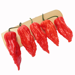 包邮新鲜采摘涮涮辣产地直销特辣魔鬼辣椒云南特产巨辣象鼻辣德宏