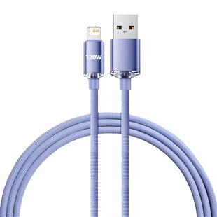 艾胜者 手机数据线120W大电流编织加粗USB快充线适用苹果iPhone14/13/12/11pro/XS/XR/SE2平板iPadmini充电线