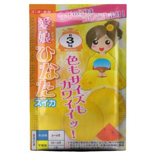 【新品推荐】日本进口黄皮爱娘西瓜早春红玉超甜红瓤迷你种籽孑苗