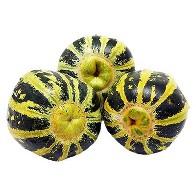 冰糖子甜瓜苗秧香瓜甜瓜秧苗薄皮超甜春季四季高产早熟瓜果蔬菜苗