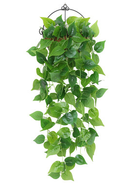 仿真绿萝壁挂花假花植物绿植吊兰