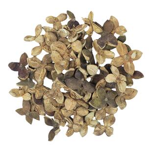 山茶油壳油茶籽果壳干花果干花包烧火烟熏茶籽壳装饰烧灰水手工艺