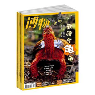 【送好礼】博物杂志 2026年3月起订 1年12期国家地理青少年8-15岁中小学生自然科普百科全书非万物好奇号阳光少年报杂志铺包邮