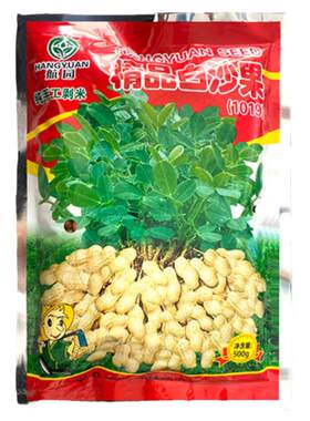 小白沙花生原种特好吃产量高