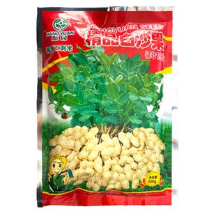 山东高产薄壳小白沙花生种子种籽黑带壳红皮花生米孑子小粒新品种