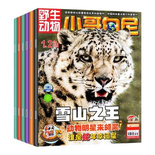 【送赠品】小哥白尼杂志野生动物2026年1-2月(全年/半年订阅/2024/2025全年)6-15岁中小学生科普军事漫画科学非过刊