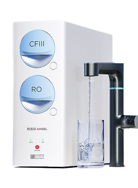 安吉尔玉龙pro1000GSE净水器